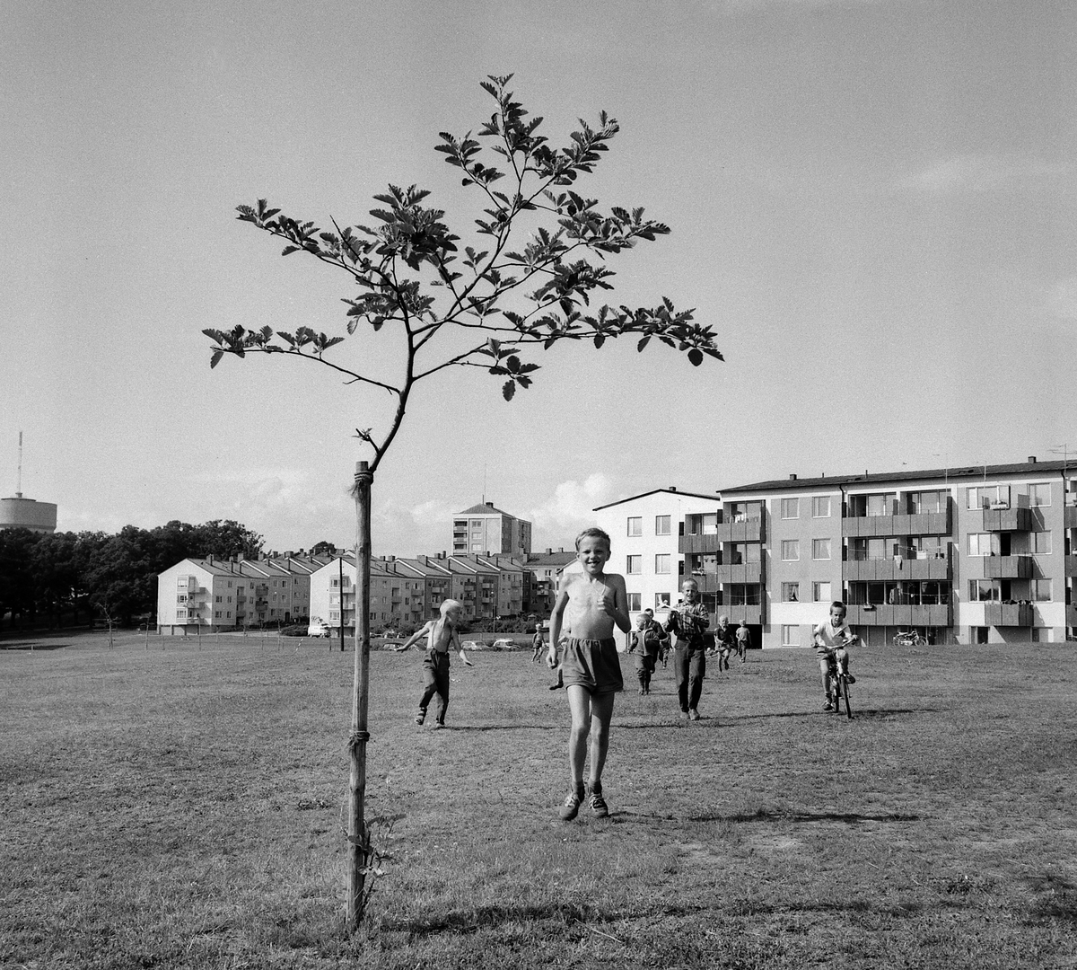 Bilder från Majelden i Berga, reportage till Hyresgästföreningen, 1963.