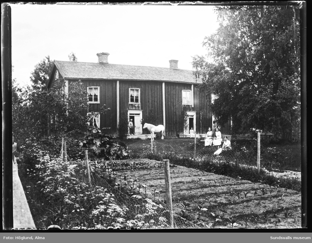 Två bilder från en gård i Fanbyn med en stor mangårdsbyggnad som har dubbla ingångar, båda med dubbeldörrarar, båda entréerna är lövade vid sidorna. I förgrunden en trädgård med ett inhägnat grönsaksland samt några kvinnor och barn på en bänk. En man med en vit häst står framför den ena ingången. På bild nummer två den vita hästen tillsammans med en annan man.