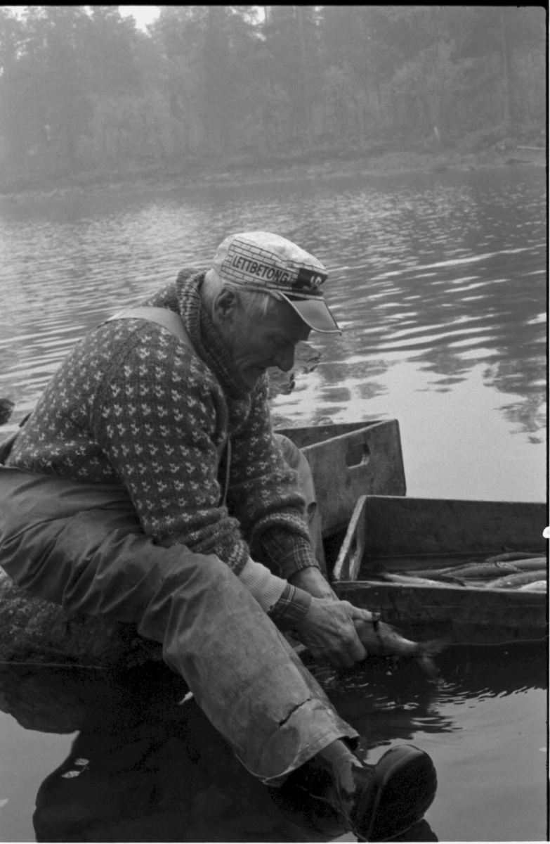 Joseph Bakken, Femund, Resnking av fisk