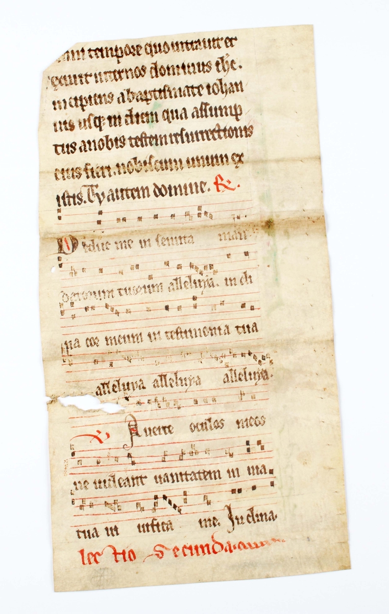 Blad ur mässbok "Missale" troligen 1200-tal. Tryckt i färgerna svart, rött och grönt mot benvitt pergament (djurhud). Bruks- och åldersslitage.