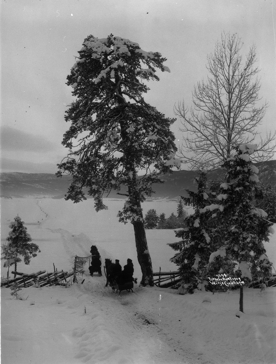 Kjøring med hest og slede i vinterlandskap langs Krøderen, 3. januar 1909.