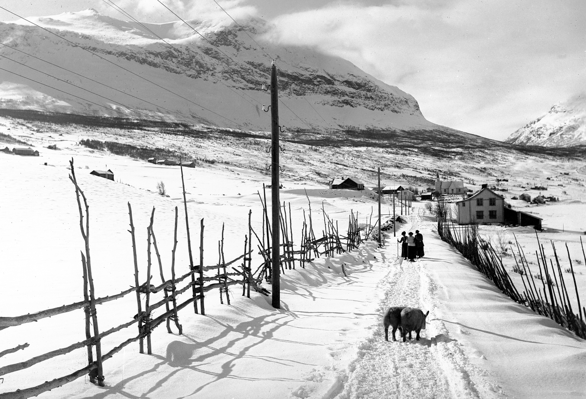 Tettstedet Grindaheim med Vang kirke lengst bort, Vang i Valdres. To griser og tre kvinner med skistaver er på veien. Fjellet Grindafjeld i bakgrunnen, 1915.