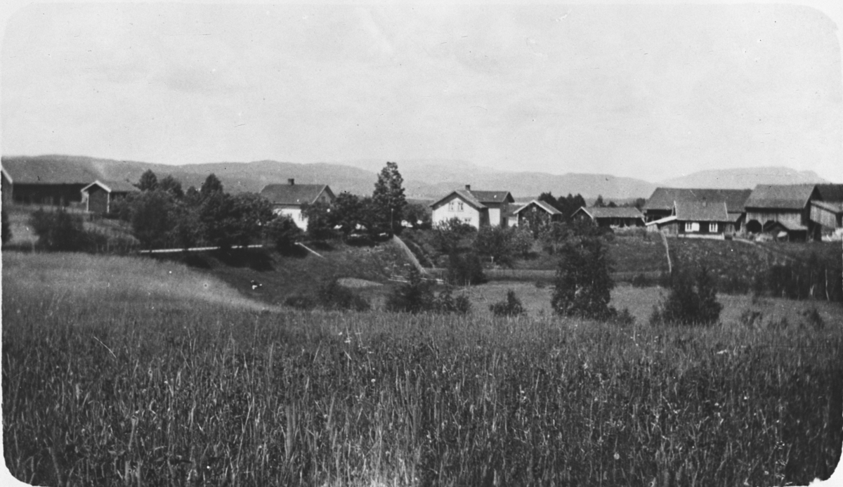 Flere gårdsbruk ligger langs en vei. Fotografert 1923.