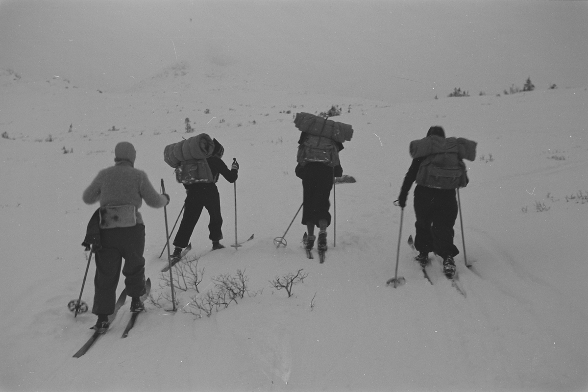 Fire påsketurister på ski med ryggsekker. Fotografert 1940.