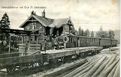 Damplokomotiv med persontog på Evje stasjon på Setesdalsbane