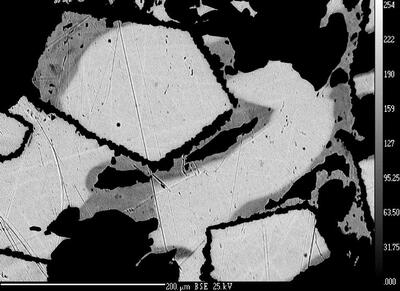 Bilde tatt med elektronmikroskop av kvikksølvholdig sølv (i grått og hvitt) fra Haus Oldenburg gruve. De lyseste partiene inneholder 20 % kvikksølv, mens de grå partiene inneholder 15 % kvikksølv. (Foto/Photo)