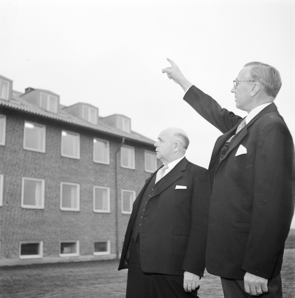 Statens husdjursförsök, invigning, Uppsala 1953