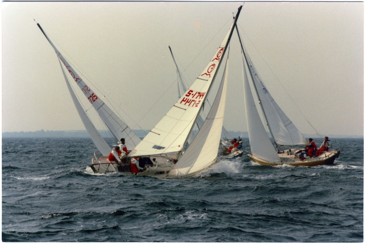 Kappsegling. Svenska Mästerskapet i IF-båt, Limhamn 1993.