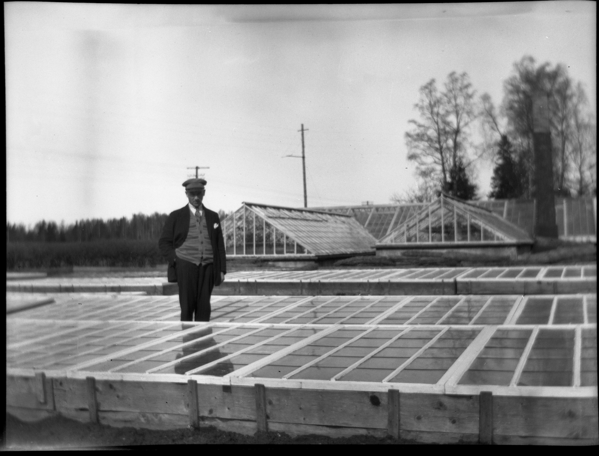 En man står vid trädgårdsmästeri, drivbänkar och växthus på Lilleskog. 1920-tal