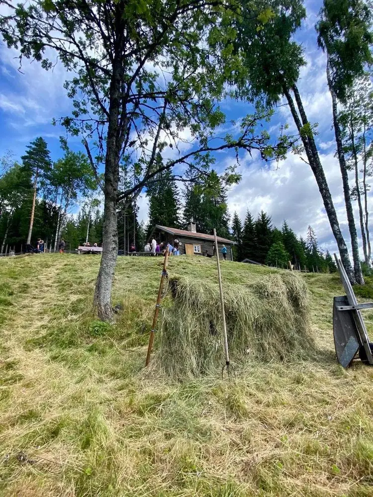 Hesjing av høy på Skålbergsætra.