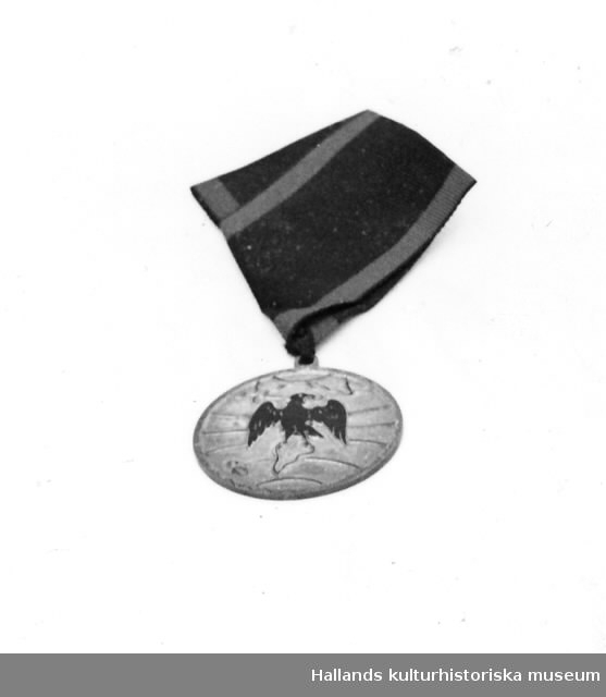 Svartaörnsorden. Ordenstecken av silver, rund platta med svart örn med svart och grönt bröstband.