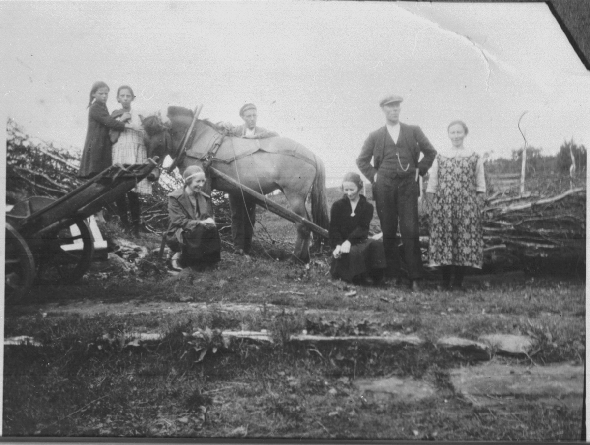 Syv personer i Grovfjord med en hest og slede lastet med ved.