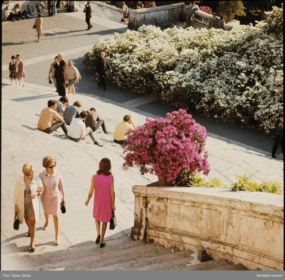 Spanska trappan i Rom. Människor och planteringar.