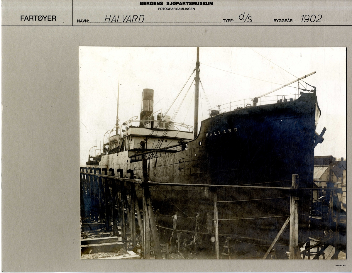 DS HALVARD (bygget 1902) på land.