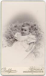Kabinettsfotografi - ett barn på en skinnfäll, Uppsala 1897