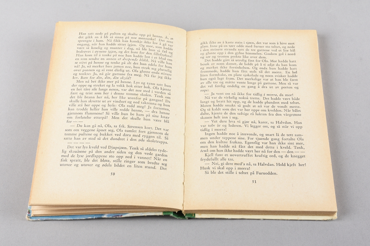 Barnebok i serien GGB-Gyldendals gode barnebøker. Boka har grøn shirting med gullfarga trykk i ryggen, stive permar trekt med papir med fargemotiv på framsida og bilete av andre bøker i serien på baksida. 116 sider med tekst.