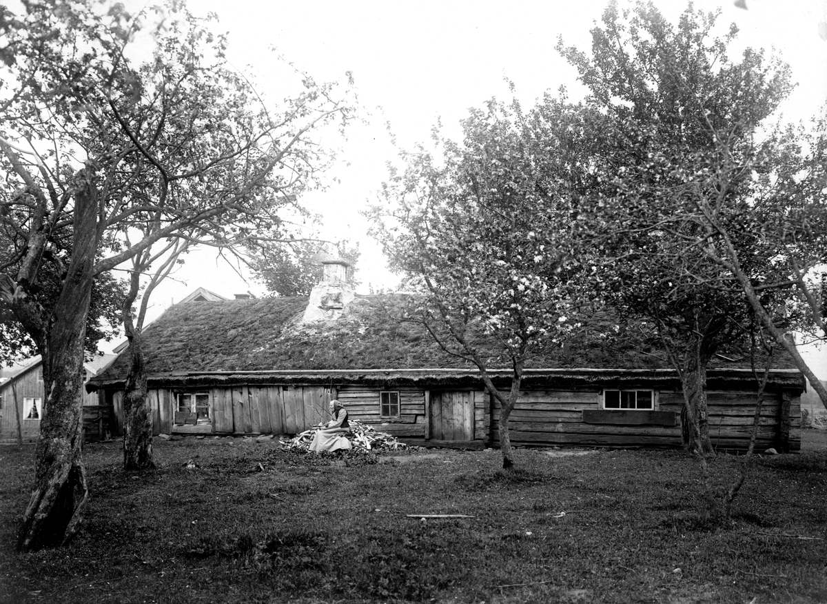 Arvidsgården, Hornborga, 1900.