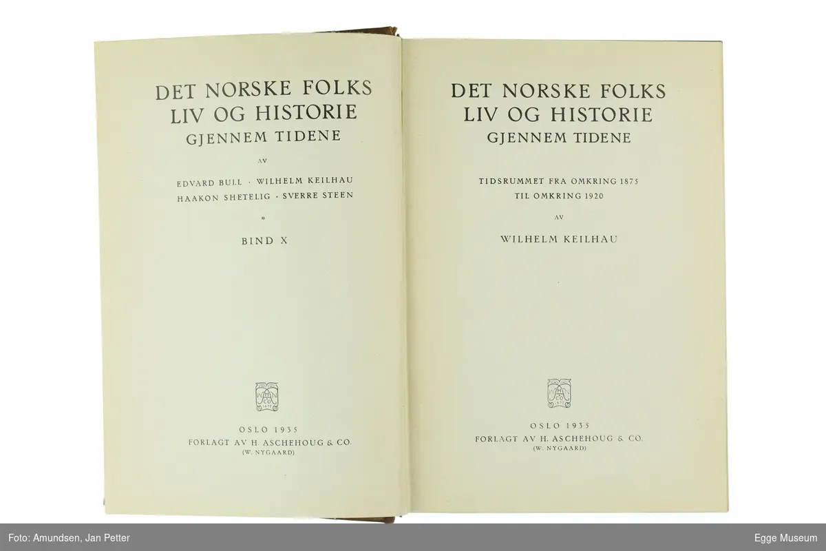 Det norske folks liv og historie bind 10

