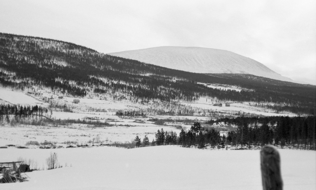 Snødekt dam. Lukedamanlegg, Bjørnstaddammen, Sel. 1963. 