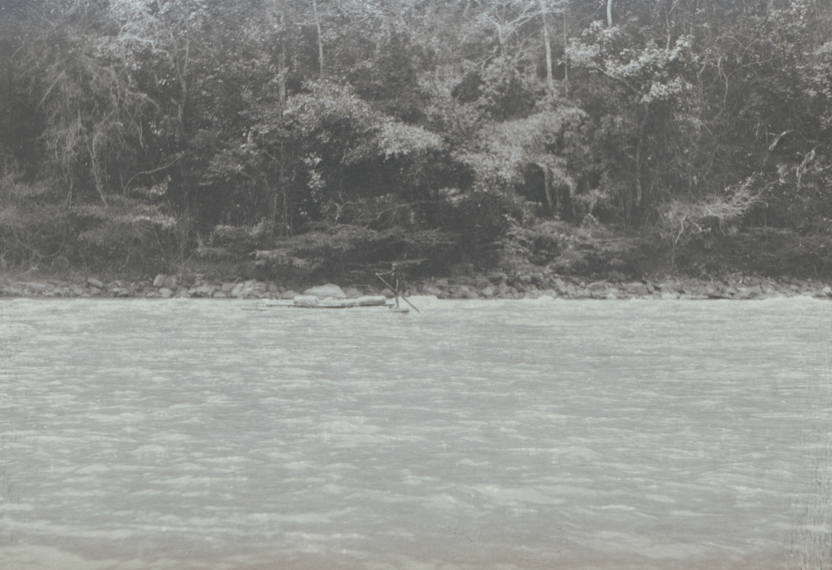 Fotografi från kuvert märkt med "Ernst Nordenskjöld". Motiv av man på flotte i flod i djungeln.