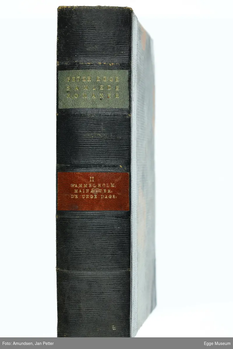 Peter Egge: Samlede romaner 2.bind 1926