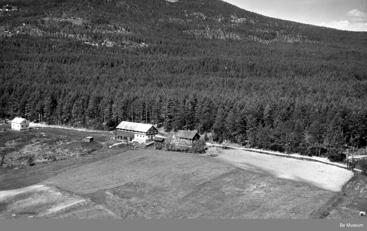 Flyfoto av Kåsa i Folkestad 13. juni 1958. - Bø Museum / DigitaltMuseum