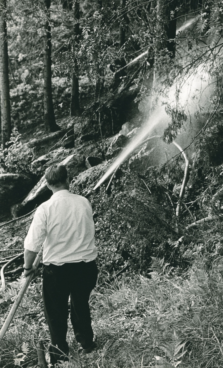 To menn slukker skogbrann.