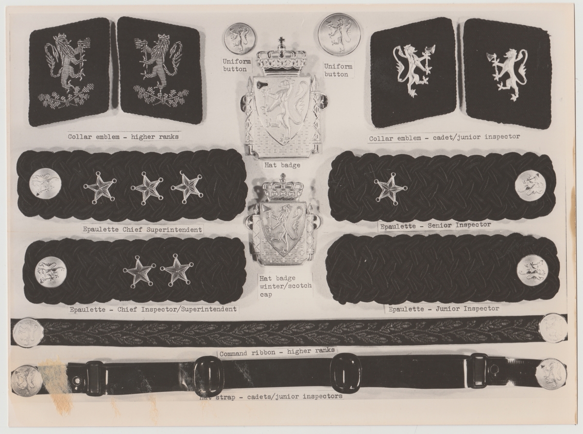 Distinksjoner for norsk politiuniform modell 1935 med engelske benevnelser.