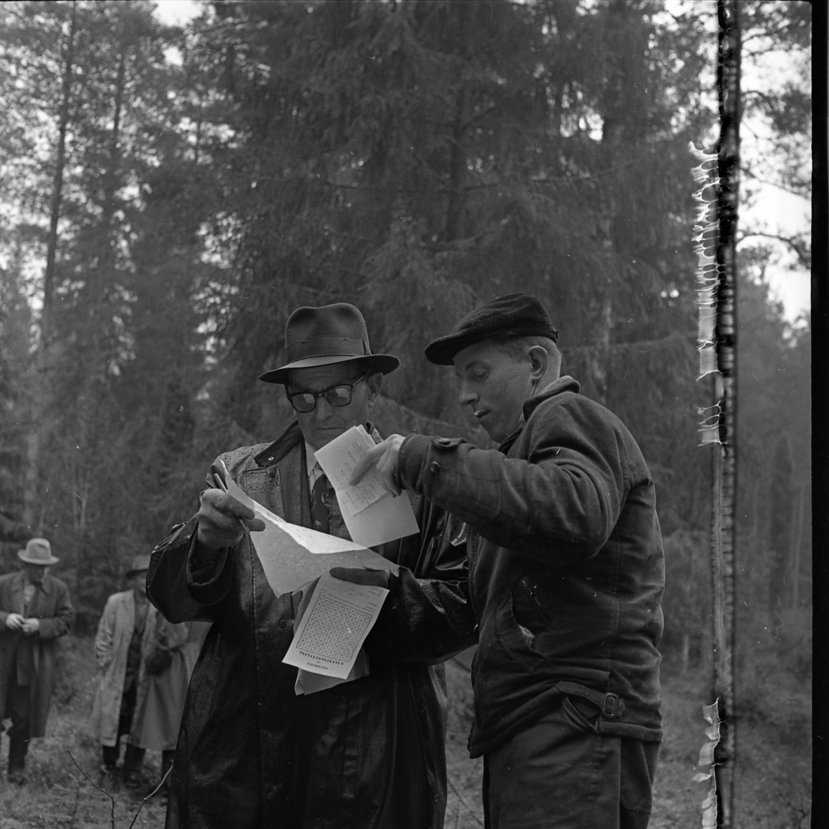 Två män står och betracktar några papper. De befinner sig i en skog.