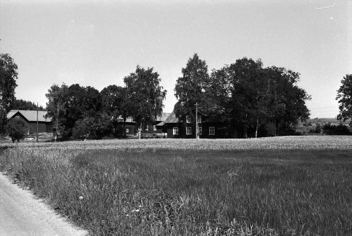 Bebyggelse, Bälinge mossar, Uppland 1981