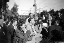 Deltakere ved det Internasjonale AUF-stevne i Stockholm, 195