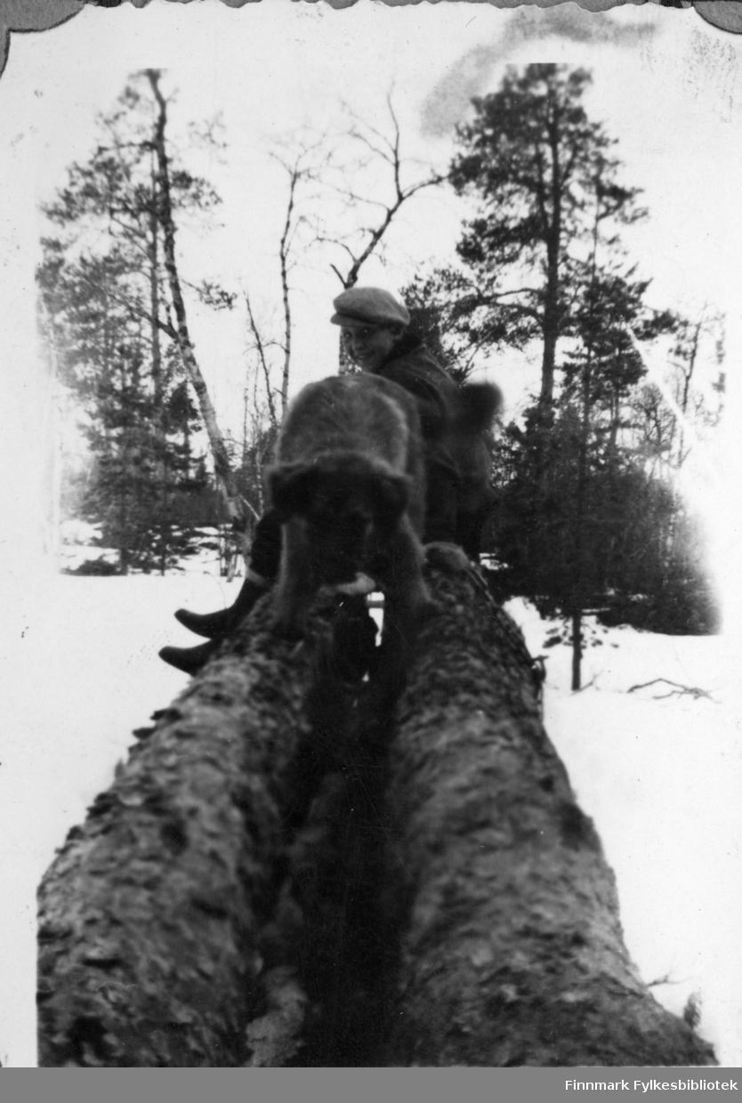 Svein Mortensen og hunden "Pluggen" på tømmerkjøring, 1947.