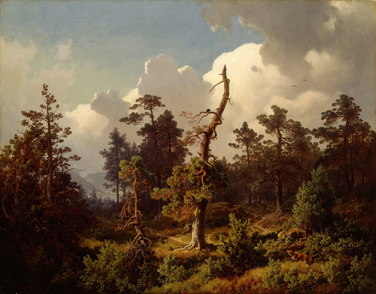 Skoglandskap [Maleri]