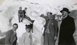 En gruppe mennesker og en hund på eller ved en isbre. Tekst 