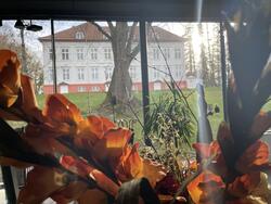 Utsikten ut av vinduet i Kafe Standpunkt viser Eidsvollsbygningen