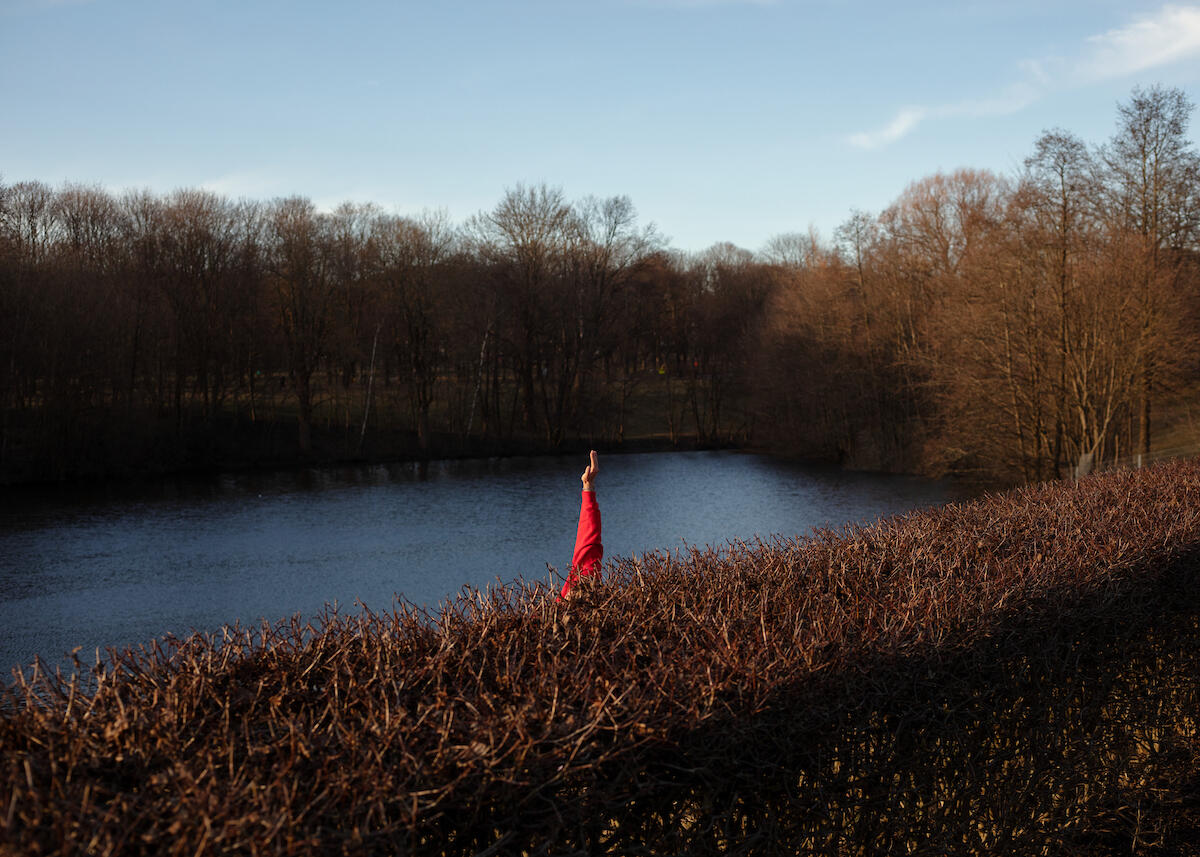 Bildet er tatt av Knut Egil Wang og er fra serien Stillstand fra 2020. Bildet viser et landskap med en hekk i forgrunnen og vann, skog og himmel bakenfor. Opp fra hekken stikker det en rødkledd arm.