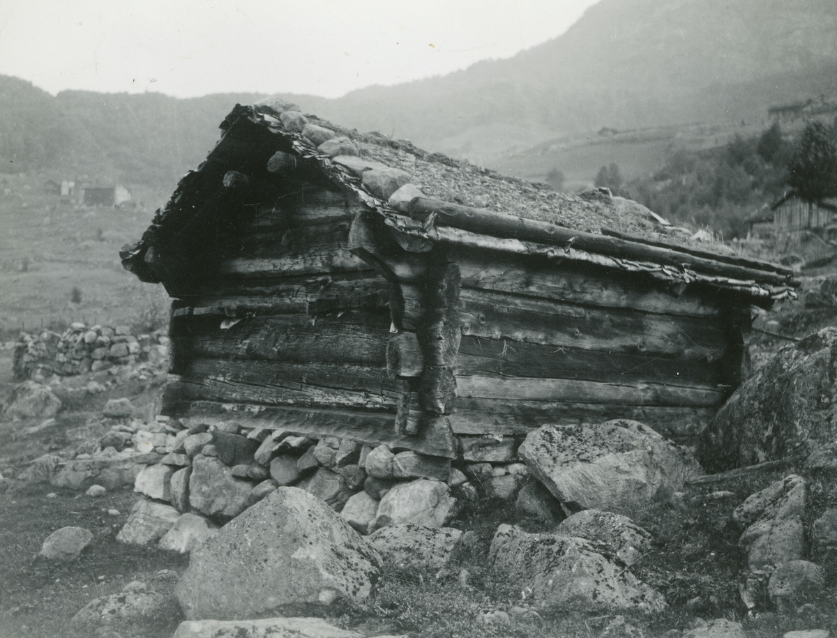To bilde av ei gammal badstue i Bykle i Setesdal,  Bildet er tatt under Kornrådets reise 29. august 1934.