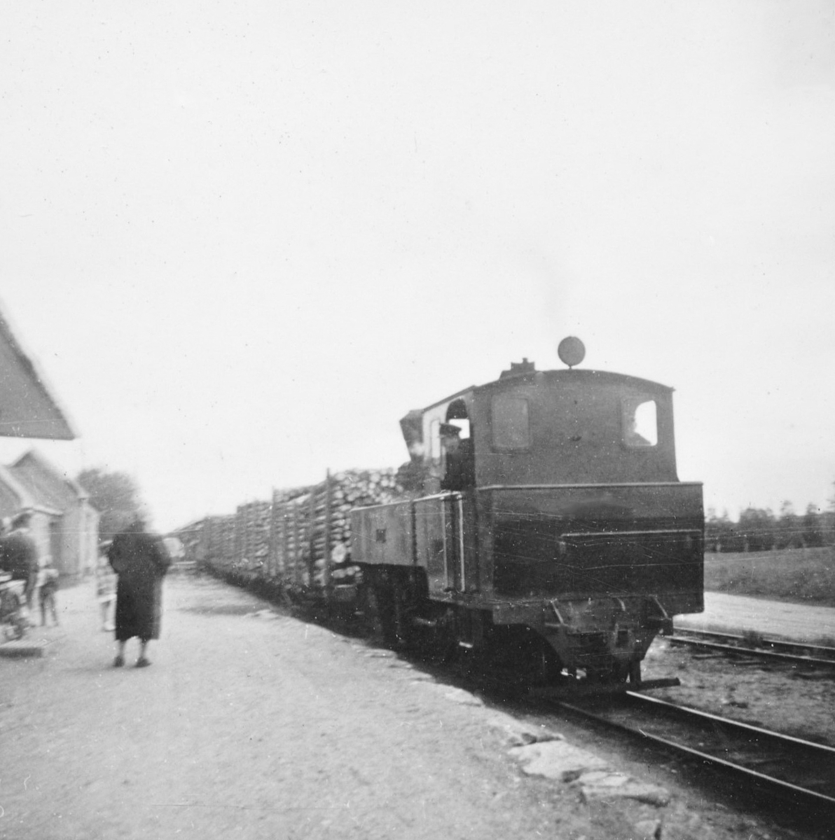 Damplokomotiv XXIXb nr. 7 PRYDZ med tog til Skulerud på Lierfoss stasjon. Fremst i toget fullastede tømmervogner