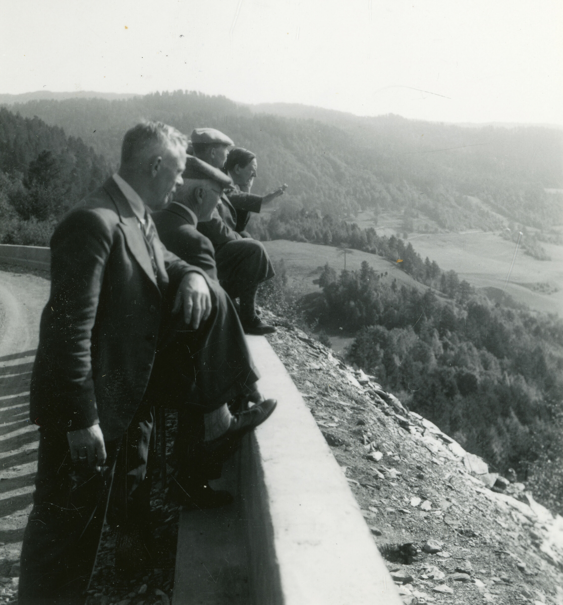 Utsikten frå den nye vegen frå Surndal til Åsskard.  Bildet er tatt 22. august 1937 under Kornrådets reise i Møre og Romsdal.  