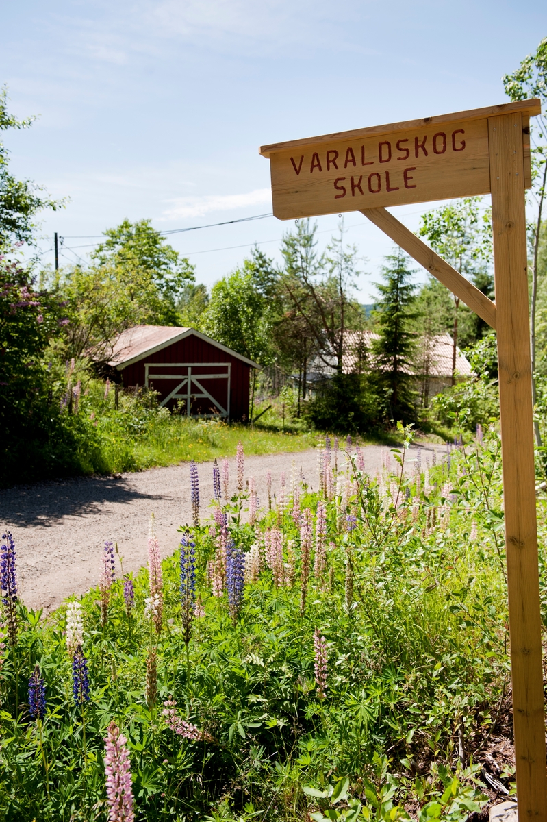 Nodre Varaldskogen, Varalden Skole, KOngsvinge Kommune, Norge. Denna bild släpps till försäljning den 1 oktober 2011.