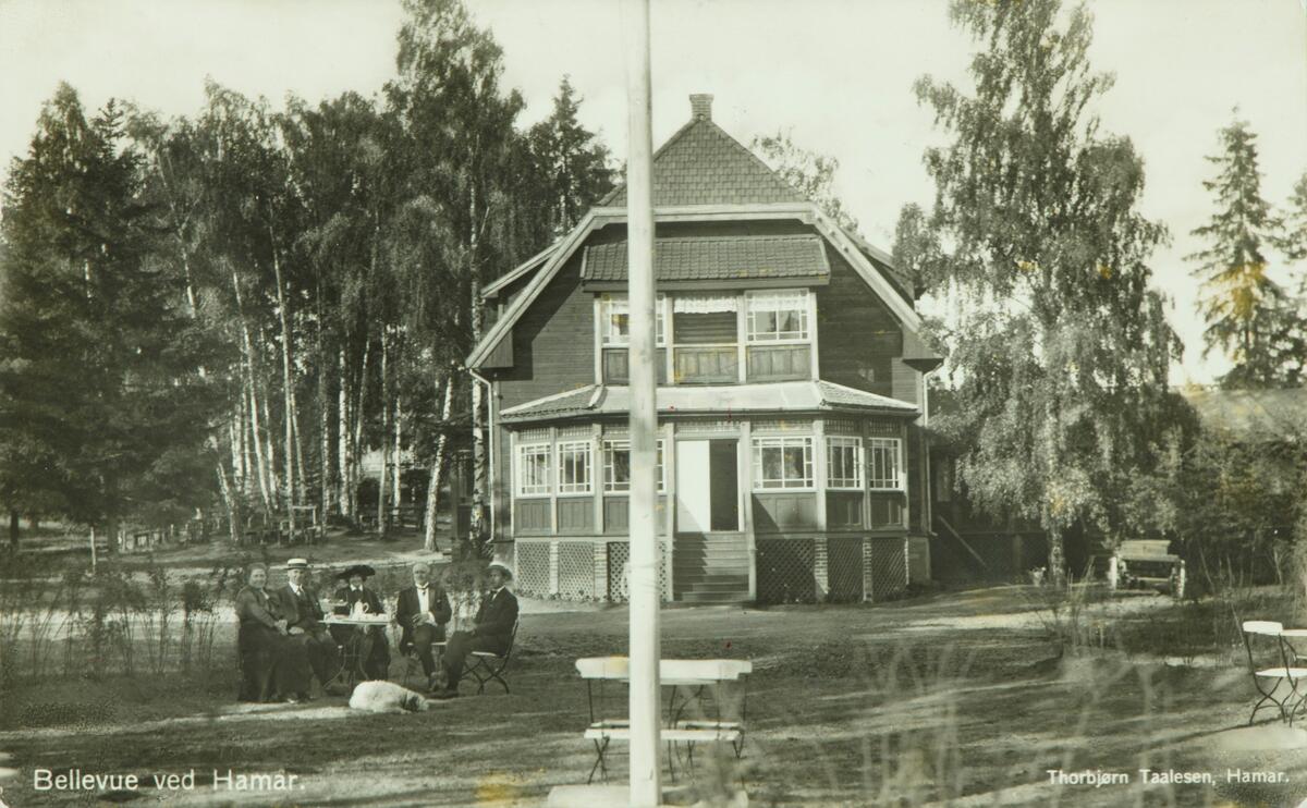 Postkort, Hamar, Aluvegen 65, Bellevue friluftskafe, serveringssted etablert i 1915, kafegjester i hagen, Ajer, 
