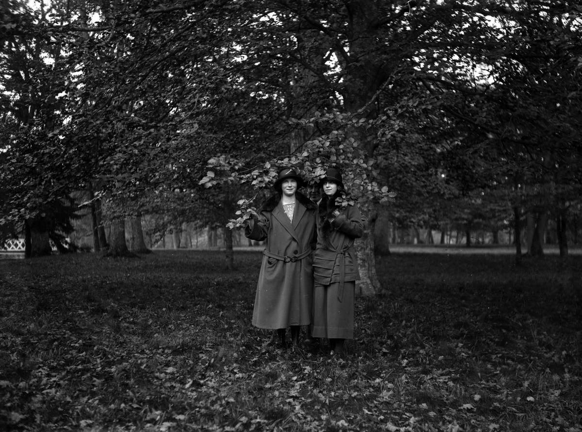 Två kvinnor och en man fotograferade vid ett träd.