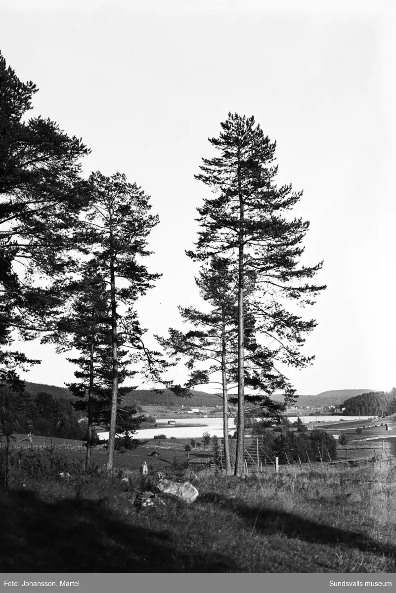 Vy mot sydost från Fjolsta, över Vikarn vid Klasviken, mot Skedvik och Harv. Fotograferat från landsvägen mellan Sörfors och Viforsen.