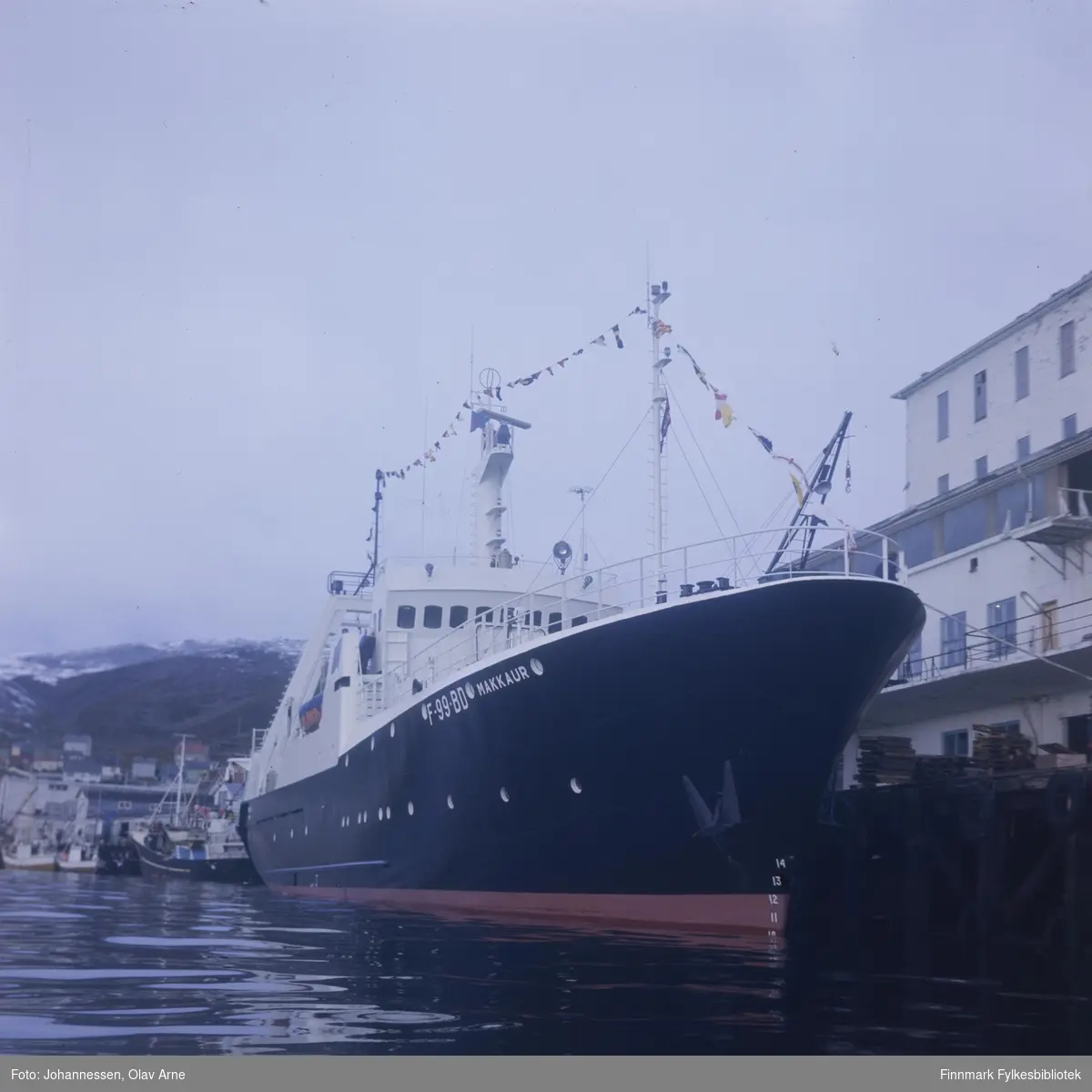 Skipet har nummer: F-99-BD og het "Makkaur"

Tråleren tilhørte Finotro fiskebruktet i Båtsfjord. Ligger i ved Finotro kaia 

Foto trolig tatt på 1960/70-tallet