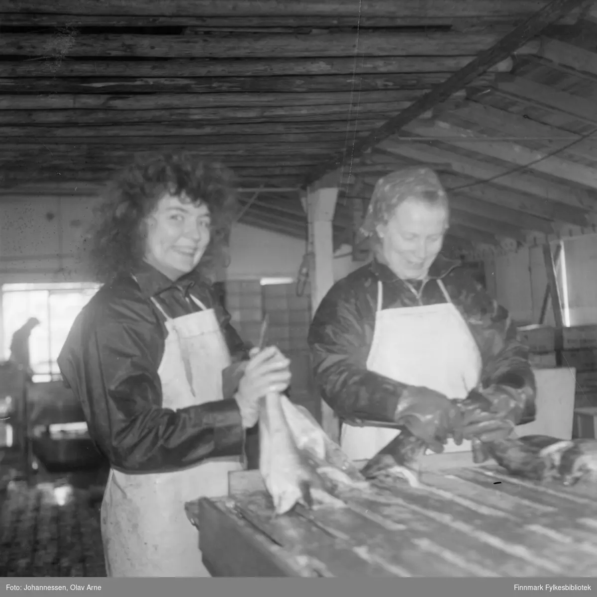 På fiskebruket i Syltefjord (Finnmark), sløyeskuret.  Til venstre Tove Pettersen (født 1955) og Jenny Larsen (1929 - 2007) 

De sperrer fisk. Foto tatt rundt 1973/74.