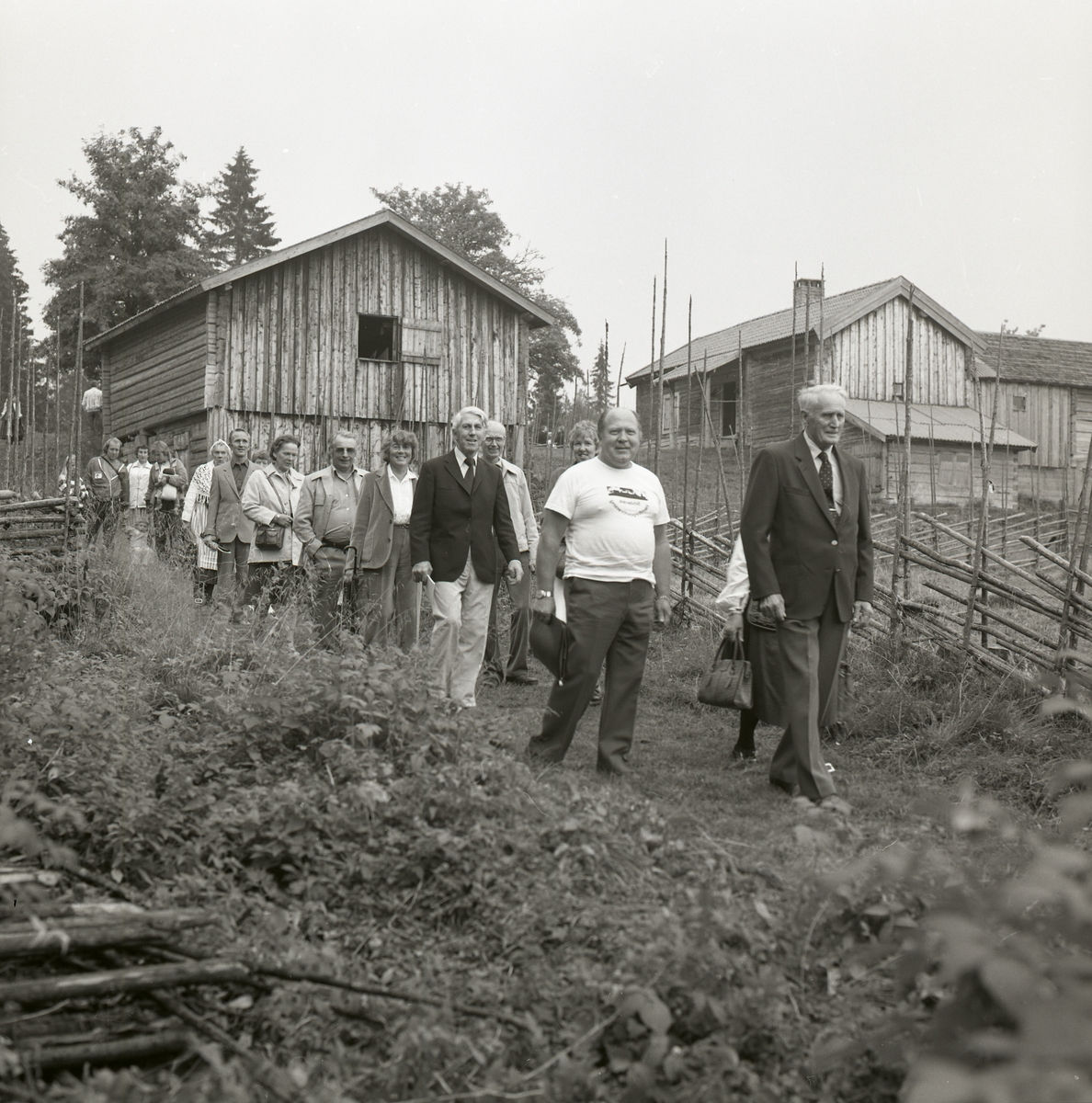 En grupp promenerar längs en gärdesgård på Harsavallen under Hälsingekretsens årsmöte den 3 september 1983.