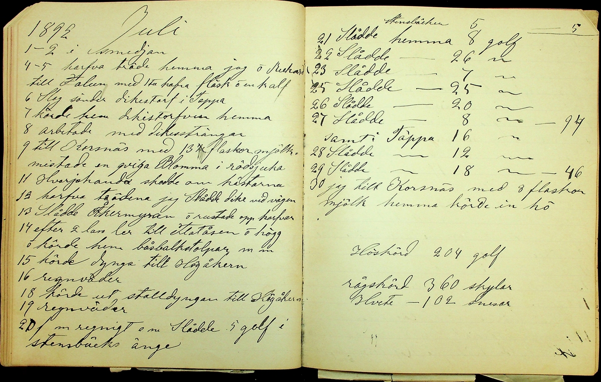 Bondedagbok åren 1889-1894 efter Hemmansägare Sigge Johan Gustaf Eriksson i Översätra, Stora Skedvi socken.