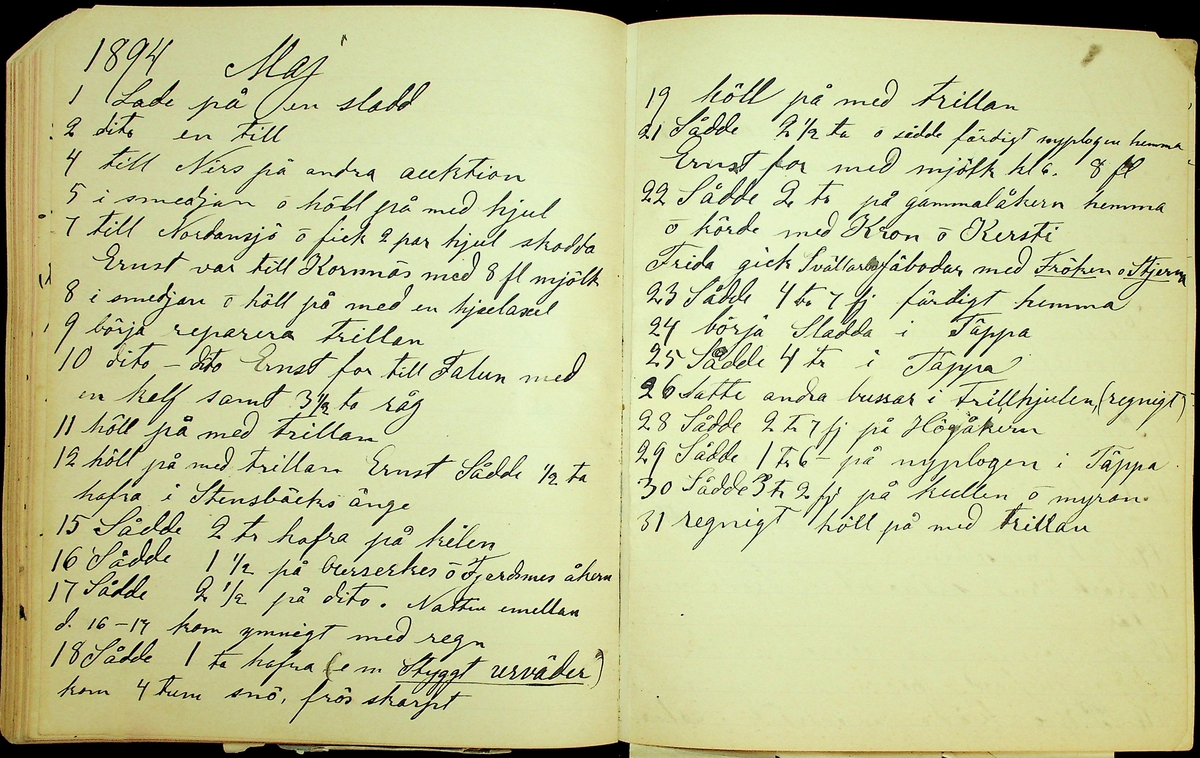 Bondedagbok åren 1889-1894 efter Hemmansägare Sigge Johan Gustaf Eriksson i Översätra, Stora Skedvi socken.