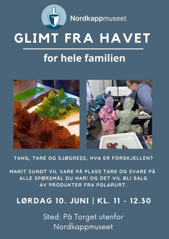 Plakat Kystensdag