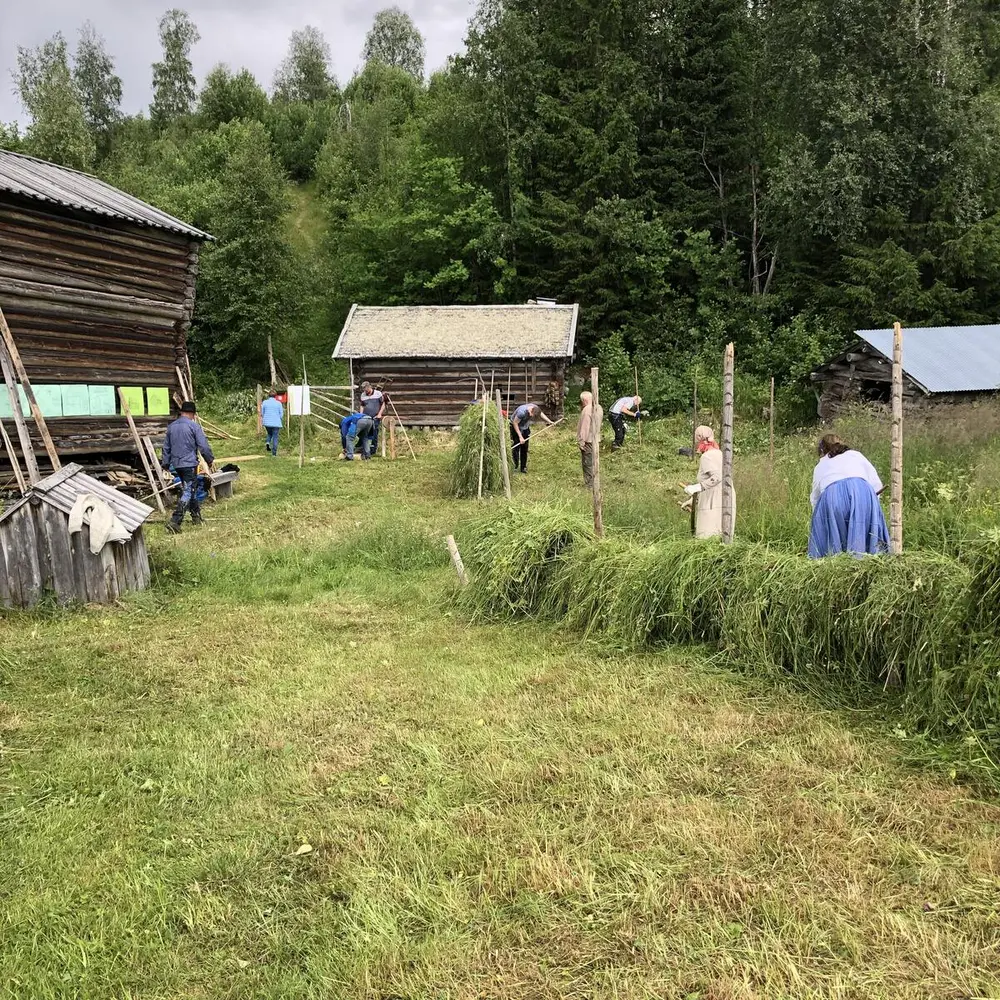 Slåttonn på Trysil bygdetun, flere personer i sving med hesjing av høy i området ved siden av stabburet.